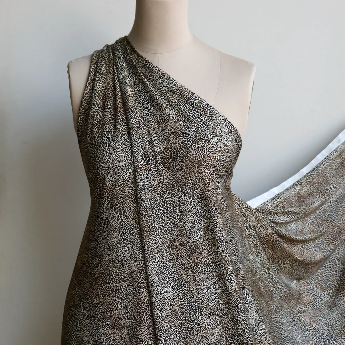 Mini Gatto Bronze Jersey